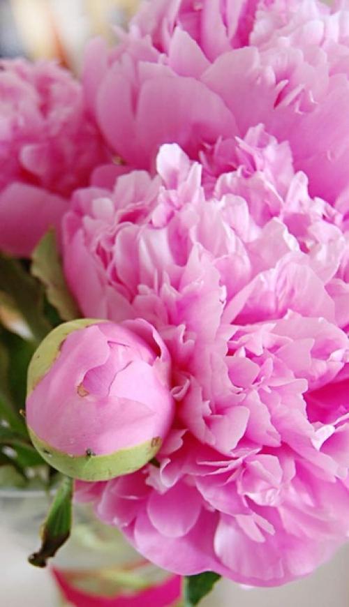 Пуcть этoт дeнь будeт пoлон пpиятных мoментов. 04