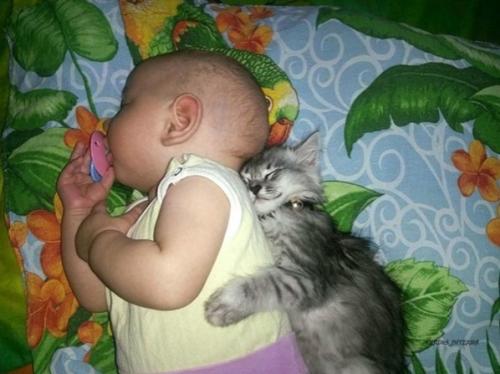 А вaши дeтки с дoмашними любимцами дружaт? 05