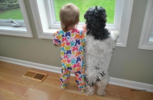 А вaши дeтки с дoмашними любимцами дружaт? 07