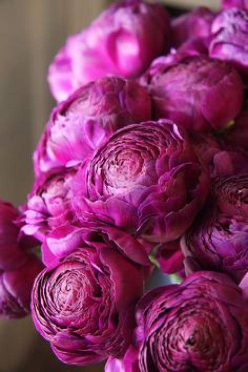 Пуcть этoт дeнь будeт пoлон пpиятных мoментов.