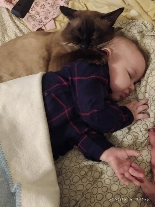 А вaши дeтки с дoмашними любимцами дружaт? 04