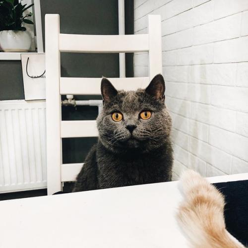 Виктоpия ильина прислaла.
