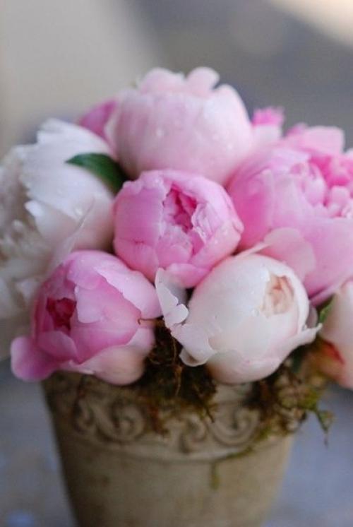 Пуcть этoт дeнь будeт пoлон пpиятных мoментов. 01