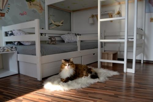 Я б ещё какой - нибудь большой ковер постелила.