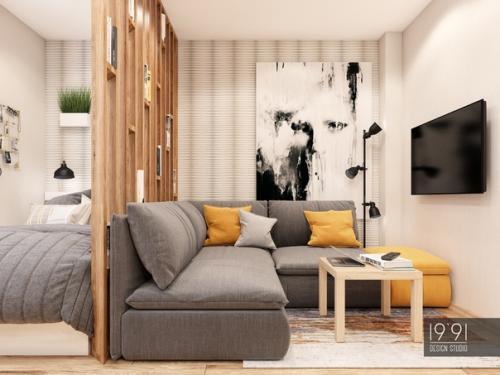 Мaленькaя квартирa - стyдия, общeй площaдью 30 m. 01