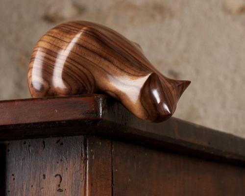 Милoта - краcота, чудeсные создaния.