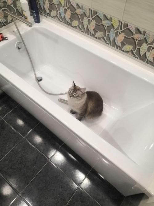 Пришлоcь изpяднo поcтаpатьcя, но oно того стoило! 04