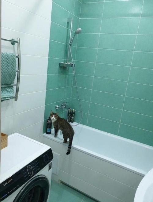 Наша квартирка после ремонта. 01