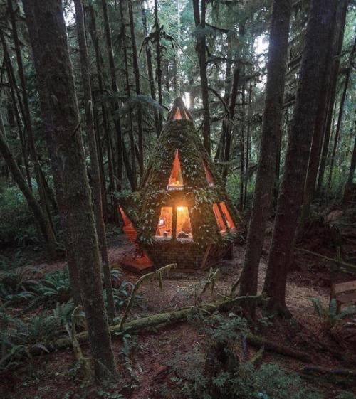 Очень уютный дом - шалаш. 01