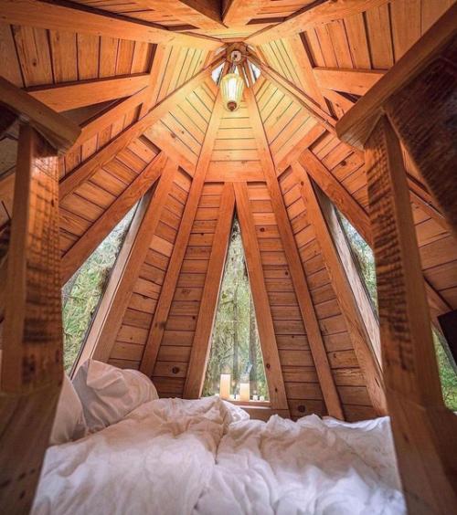 Очень уютный дом - шалаш. 04