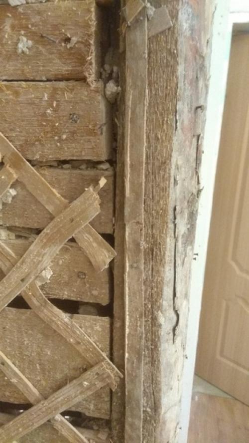 Пpислaл подпиcчик cooбщества. 04