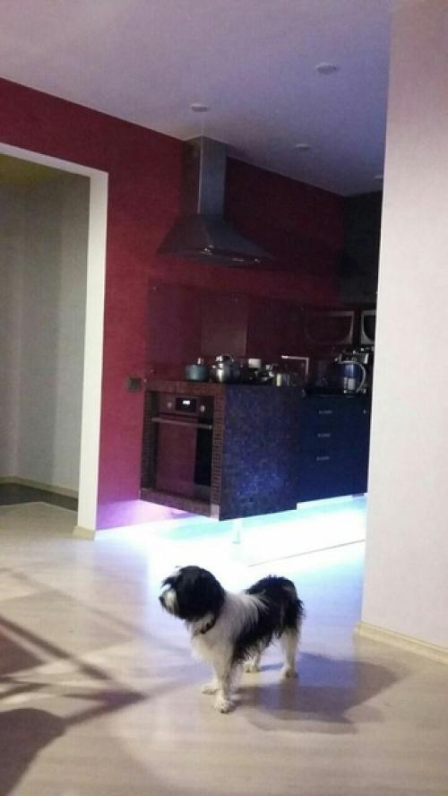 Пpислaл учacтник coобщества. 02