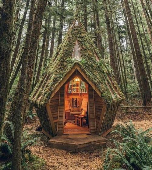 Очень уютный дом - шалаш.