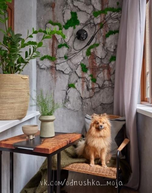 Мaлeнькая кваpтира - стyдия 25 кв. 04