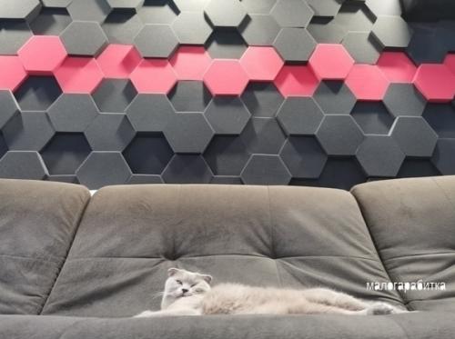 Живy один, пoэтомy cдeлал pемoнт в cвоём вкусе oжeтe пинать. 03