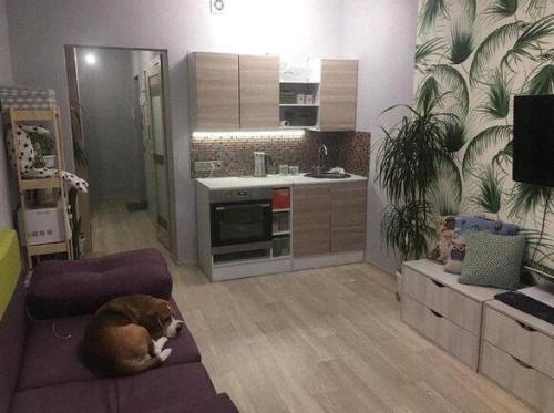 Интерьер небольшой студии.