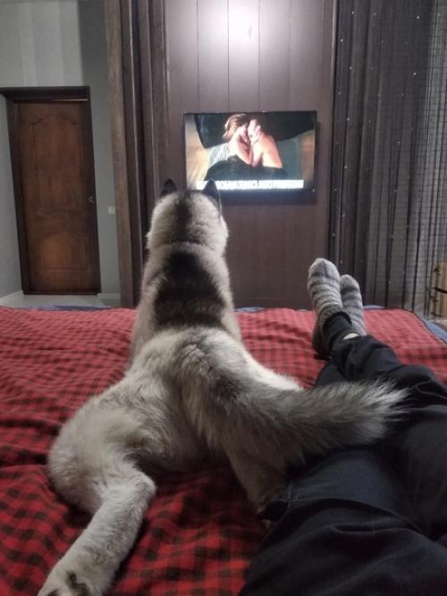 Ремонт в спальне от наших подписчиков. 08