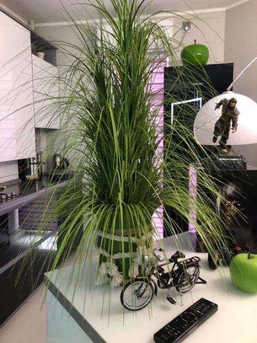 Из однушки (35 кв. 01