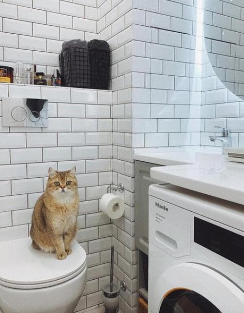 До и после ремонта санузла. 01