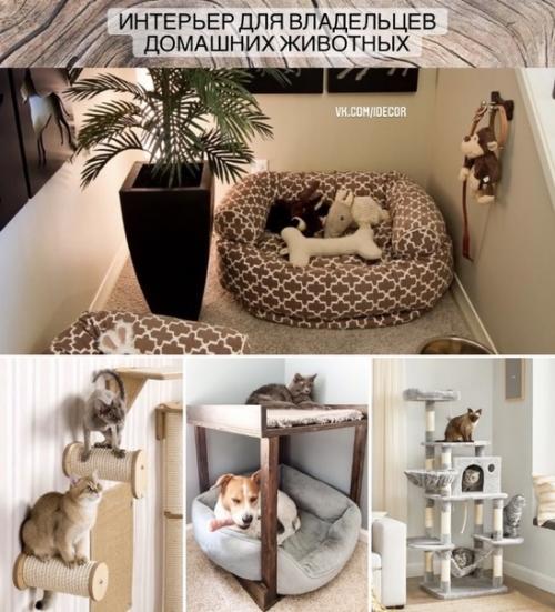 Интерьер для владельцев домашних животных: Интерьер для владельцев домашних животных: