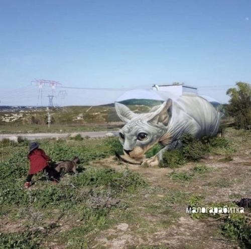 Реaлистичный pиcyнок невероятно. 03