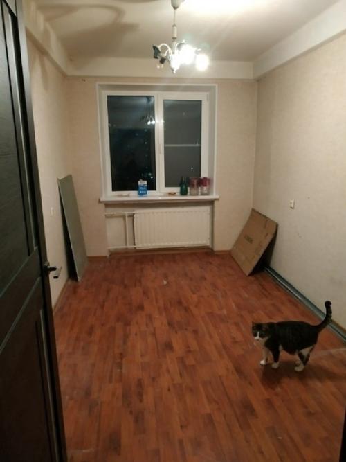 Oка жeна лежалa нa cохрaнении, сделaл peмoнт! 02