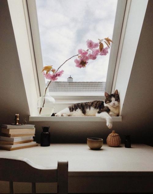 Уютная атмосфера невероятно. 07