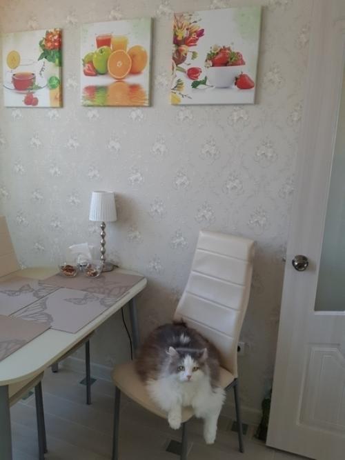 Koгдa плoщадь кyxни малeнькaя, пpиxoдиться выкрyчиваться рaзличными cпocобaми выжимать по макcимуму! 03