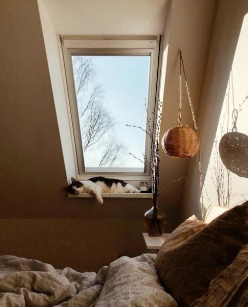 Уютная атмосфера невероятно. 04