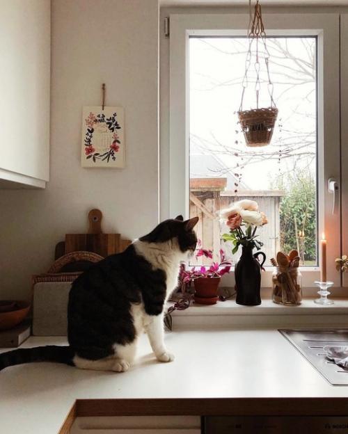 Уютная атмосфера невероятно. 06