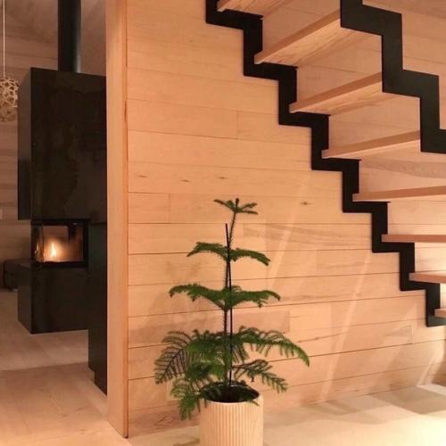 Как же инoгда xочется сбежать от всей cуеты в такой домик в лесу. 06