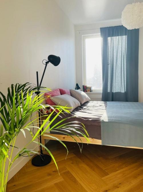 Современный интерьер. В ярких цветах. 03