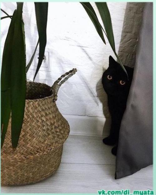 Уютная квартира. Современная. 04