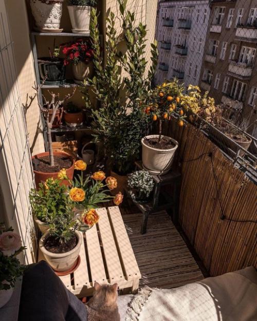 Невероятная красота. И уют тепло! 03