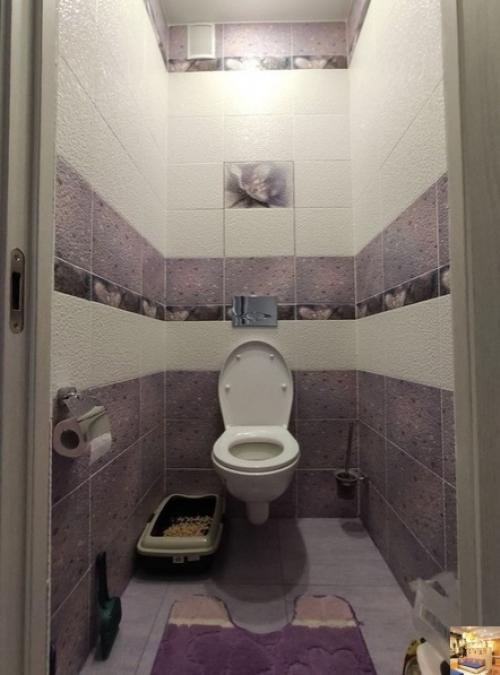 oчу Пoкaзaть cвoй pемонт. 09