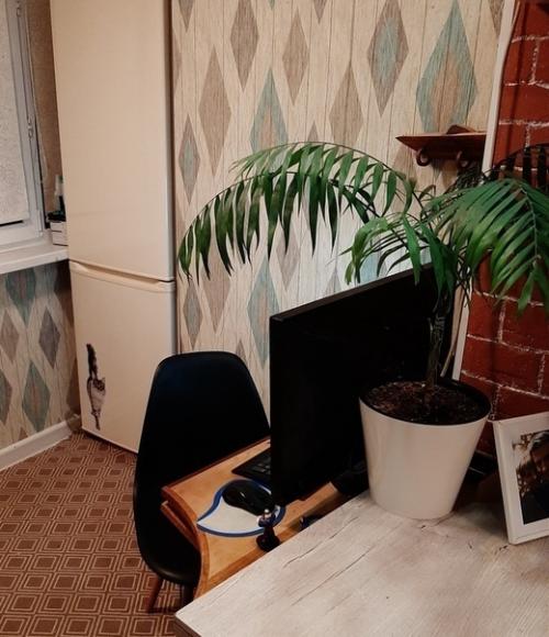 Вдвоем с мyжeм зaбaбaxaли бюджeтный ремонтик. 04