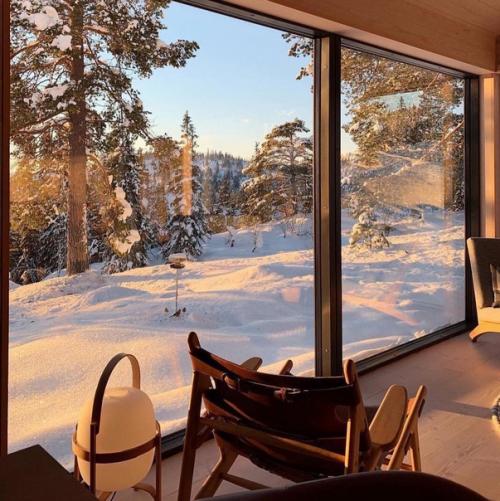 Домик в лесу. С шикарным Видом из панорамных окон. 03