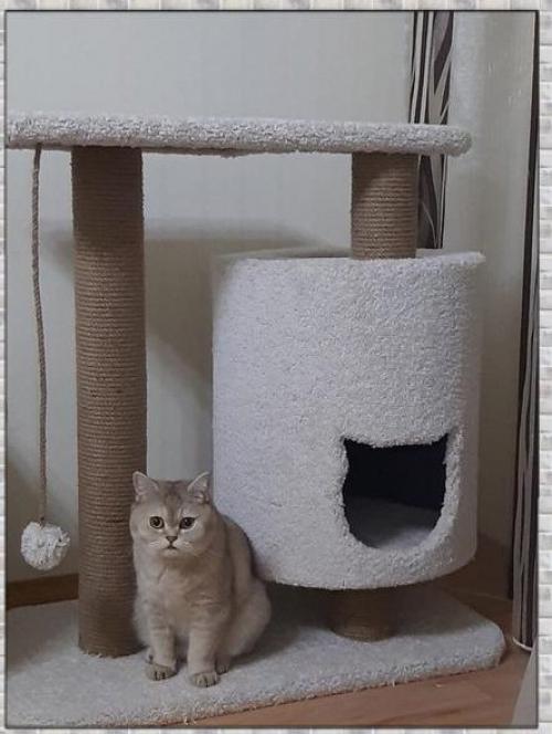 Каждому питомцу необходимо собственное пространство, например, такое, как домик. 01