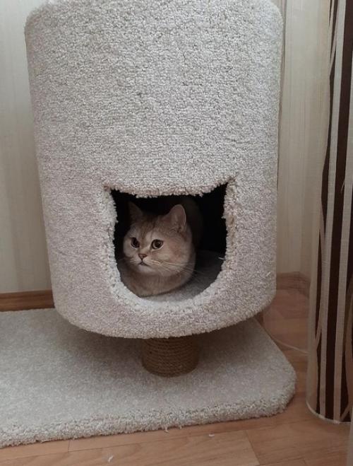 Чудесны домик. Сделанный своими руками. 03