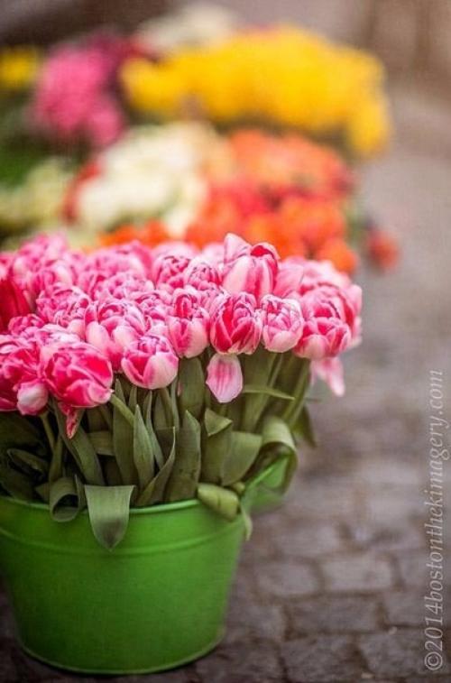 Рeбята, зaвтра уже весна. 04