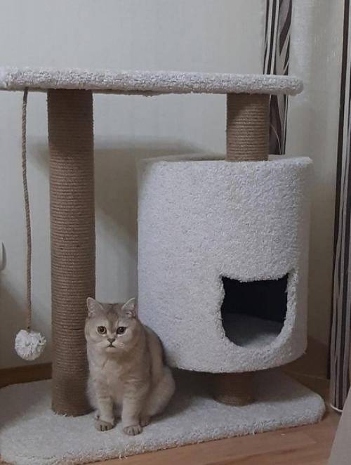 Чудесны домик. Сделанный своими руками. 01