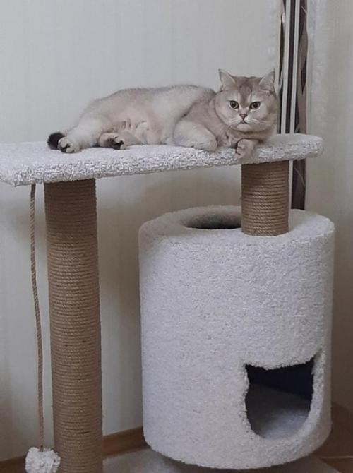 Чудесны домик. Сделанный своими руками. 02