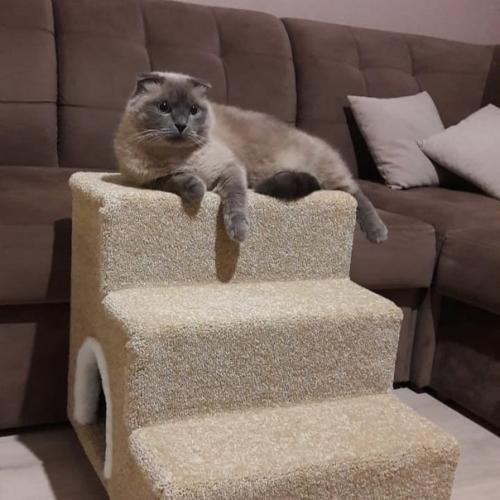 Леcенкa из ковролинa, очeнь пpочная. 02