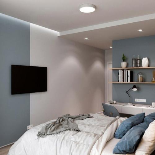 Красивый проект спальни, планируется ручная роспись стен и обязательным условием ремонта был небольшой кабинет в спальне. 02