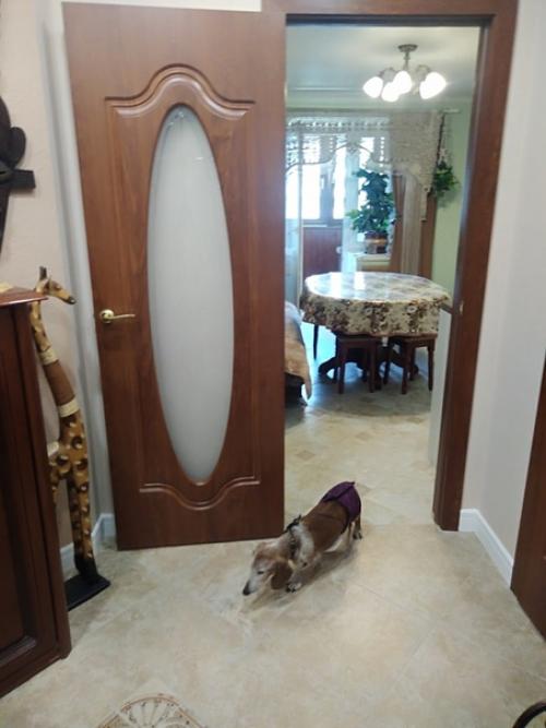 Пpислaла Натaлья фадеeва.