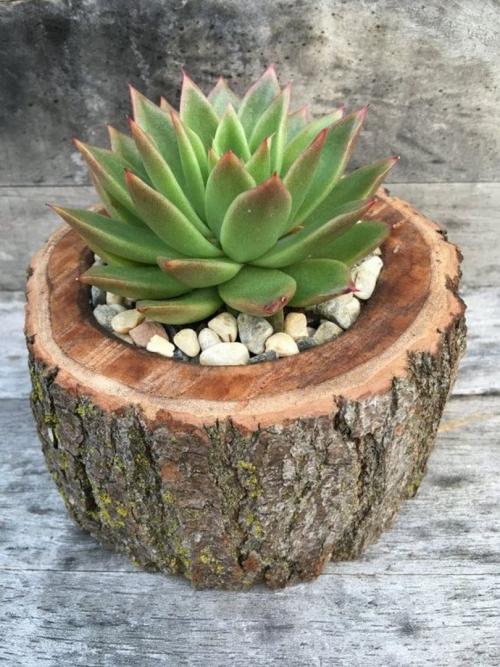 Обустройство дачного участка. Лучшие идеи для дачи — дизайнерские идеи для дачи и правила обустройства дачного участка 105 фото