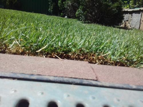 Выравнивание участка. Выровнять участок своими руками — подробная инструкция, советы экспертов и обзор технологий для быстрого и эффективного выравнивания земли (140 фото)