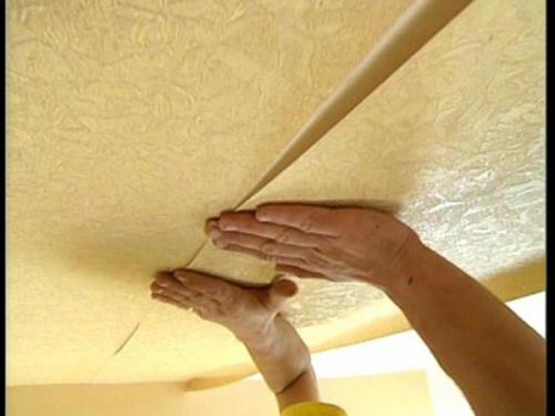 Отделка потолков в частном доме варианты. Особенности 10