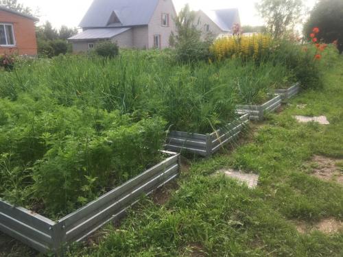 Грядки из профлиста. Зачем ограждают грядки 02 Грядки из профлиста. Зачем ограждают грядки 02