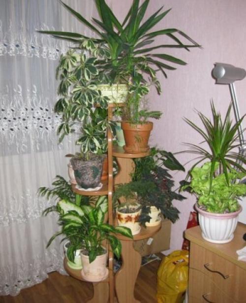 Устройство зимнего сада. Выбор места